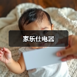家乐仕电器（图2）
