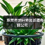东莞市龙轩劳务派遣有限公司（图2）