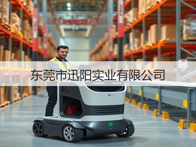 东莞市迅阳实业有限公司(图2)
