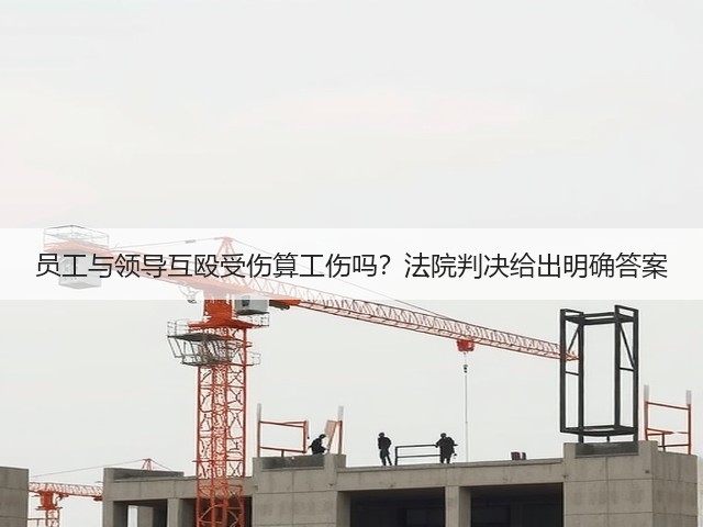 员工与领导互殴受伤算工伤吗?法院判决给出明确答案(图2) 员工与领导互殴受伤算工伤吗?法院判决给出明确答案(图2)