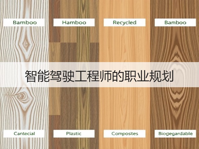 智能驾驶工程师的职业规划(图2)