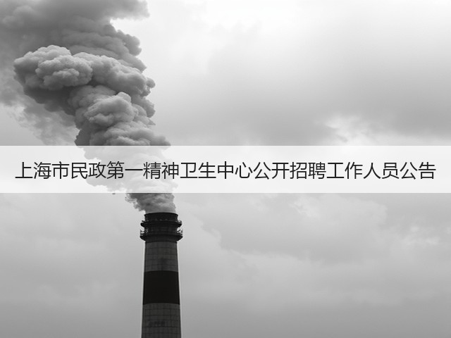 上海市民政第一精神卫生中心公开招聘工作人员公告(图1)