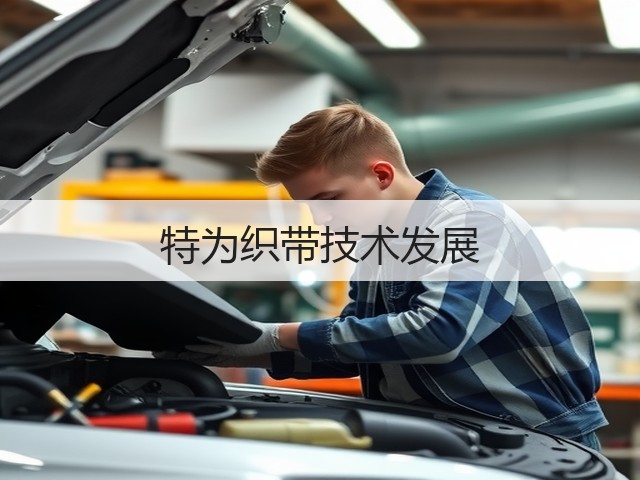 特为织带技术发展(图2)