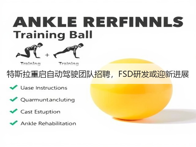 特斯拉重启自动驾驶团队招聘，FSD研发或迎新进展(图1)