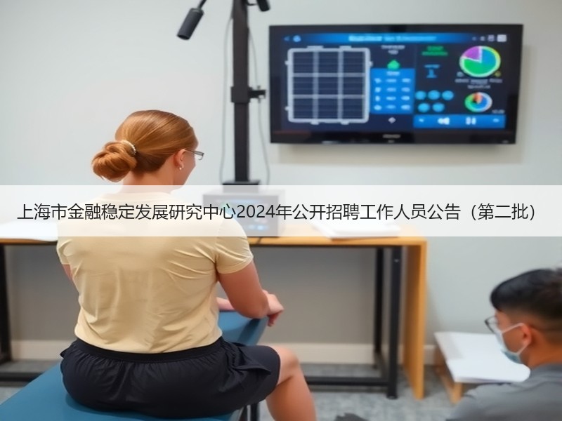 上海市金融稳定发展研究中心2024年公开招聘工作人员公告（第二批）