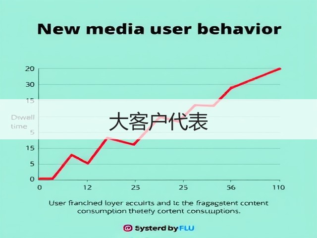 大客户代表(图2) 大客户代表(图2)