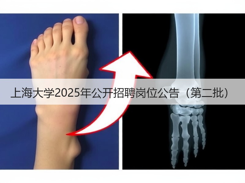 上海大学2025年公开招聘岗位公告（第二批）