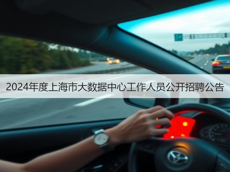 2024年度上海市大数据中心工作人员公开招聘公告