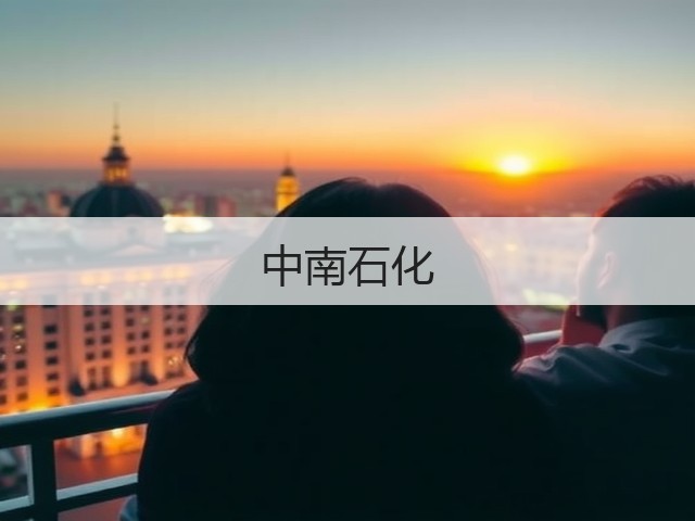 中南石化(图3)