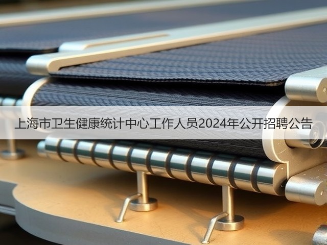 上海市卫生健康统计中心工作人员2024年公开招聘公告(图3) 上海市卫生健康统计中心工作人员2024年公开招聘公告(图3)
