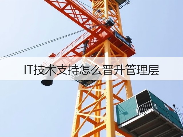 IT技术支持怎么晋升管理层(图1) IT技术支持怎么晋升管理层(图1)