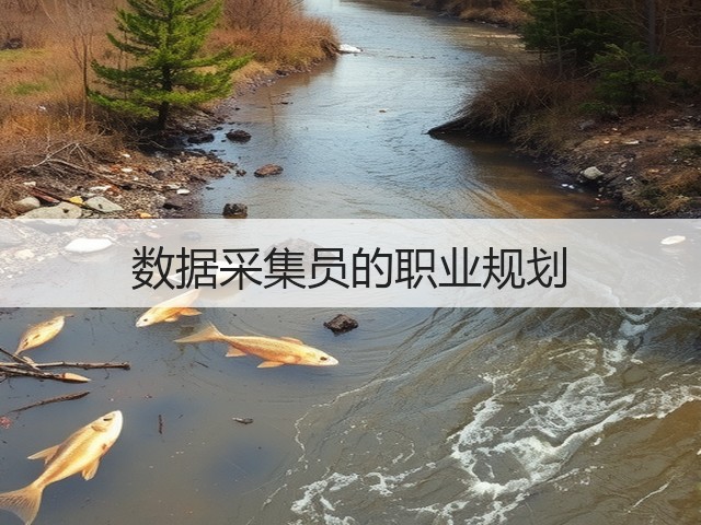数据采集员的职业规划(图3) 数据采集员的职业规划(图3)