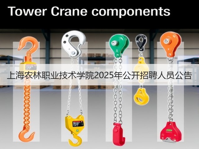 上海农林职业技术学院2025年公开招聘人员公告(图1) 上海农林职业技术学院2025年公开招聘人员公告(图1)