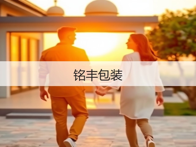 铭丰包装(图2)