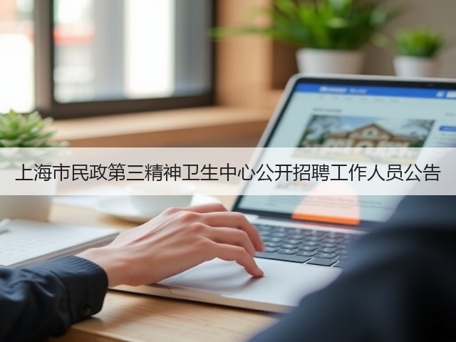 上海市民政第三精神卫生中心公开招聘工作人员公告(图3)