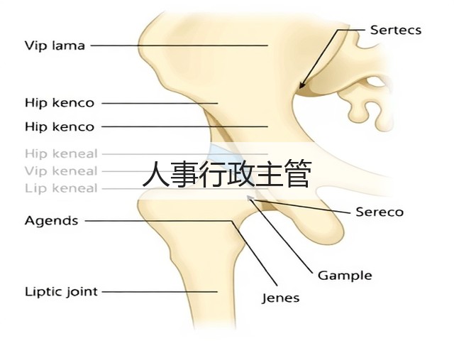 人事行政主管(图1)