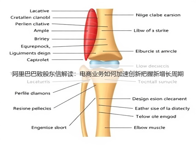 阿里巴巴致股东信解读:电商业务如何加速创新把握新增长周期(图3) 阿里巴巴致股东信解读:电商业务如何加速创新把握新增长周期(图3)