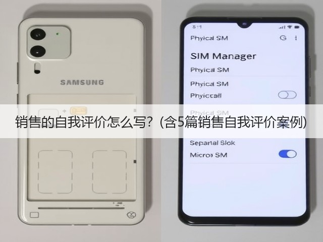 销售的自我评价怎么写?(含5篇销售自我评价案例)(图2) 销售的自我评价怎么写?(含5篇销售自我评价案例)(图2)