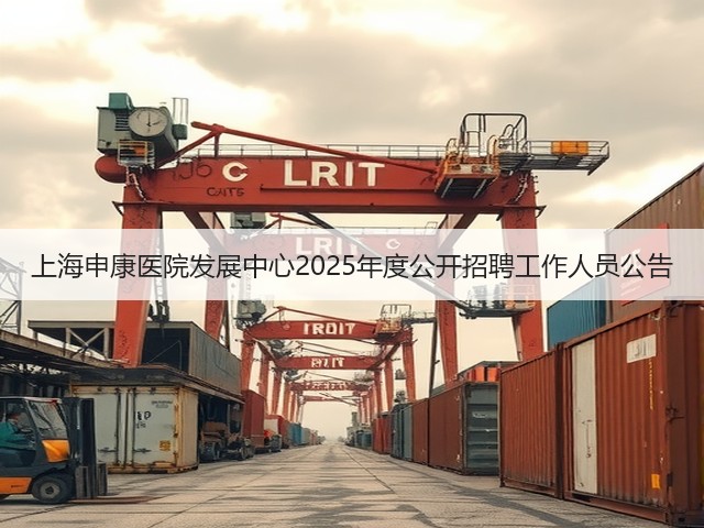 上海申康医院发展中心2025年度公开招聘工作人员公告(图2) 上海申康医院发展中心2025年度公开招聘工作人员公告(图2)