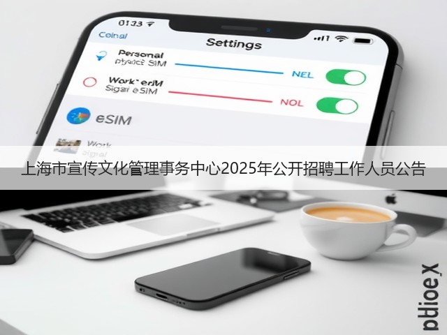 上海市宣传文化管理事务中心2025年公开招聘工作人员公告(图3)