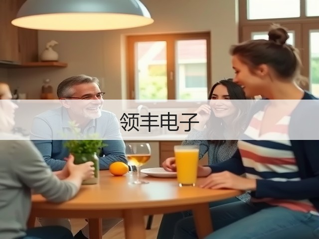领丰电子(图3)