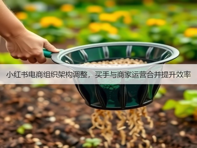 小红书电商组织架构调整，买手与商家运营合并提升效率(图1)