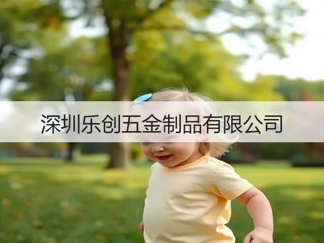深圳乐创五金制品有限公司(图1)