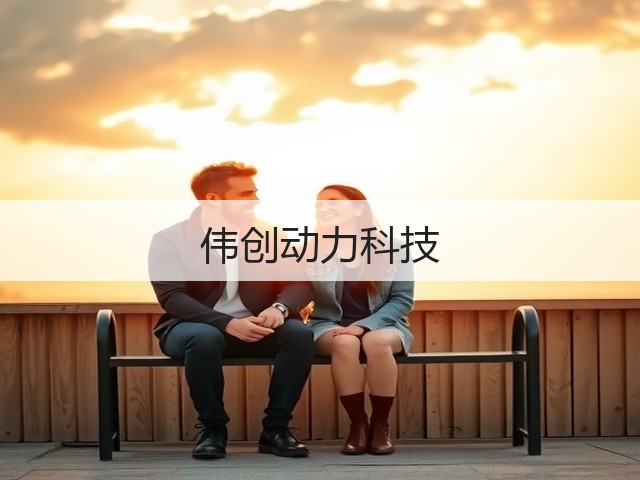 伟创动力科技(图1)