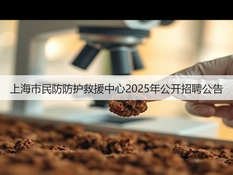 上海市民防防护救援中心2025年公开招聘公告