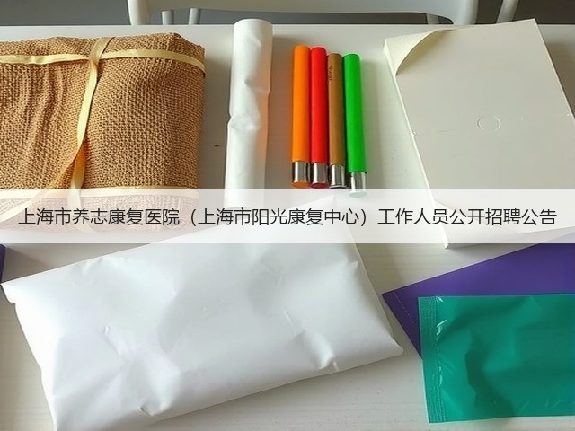 上海市养志康复医院(上海市阳光康复中心)工作人员公开招聘公告(图3) 上海市养志康复医院(上海市阳光康复中心)工作人员公开招聘公告(图3)