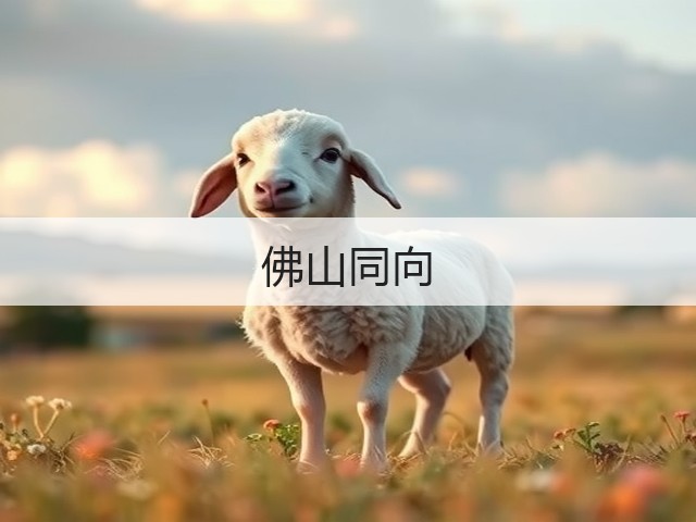 佛山同向(图2)