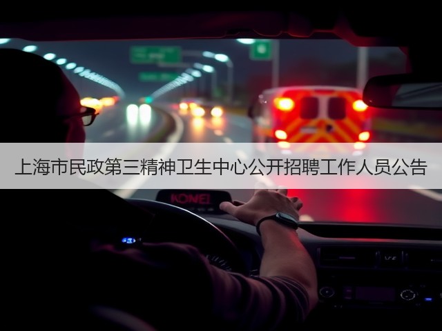 上海市民政第三精神卫生中心公开招聘工作人员公告(图3) 上海市民政第三精神卫生中心公开招聘工作人员公告(图3)