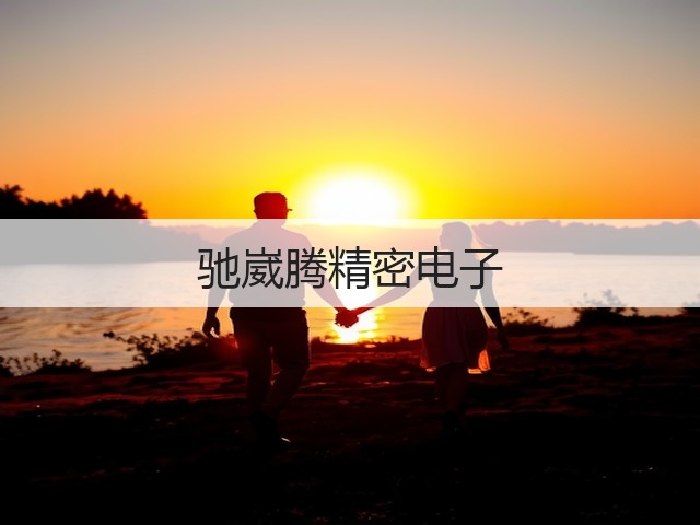 驰崴腾精密电子(图1) 驰崴腾精密电子(图1)
