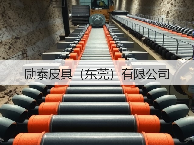 励泰皮具（东莞）有限公司(图1)