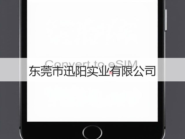 东莞市迅阳实业有限公司(图2)