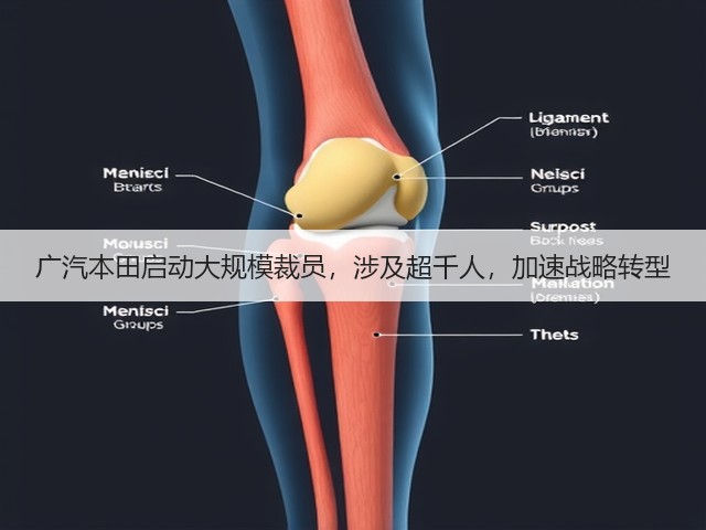 广汽本田启动大规模裁员，涉及超千人，加速战略转型(图2)