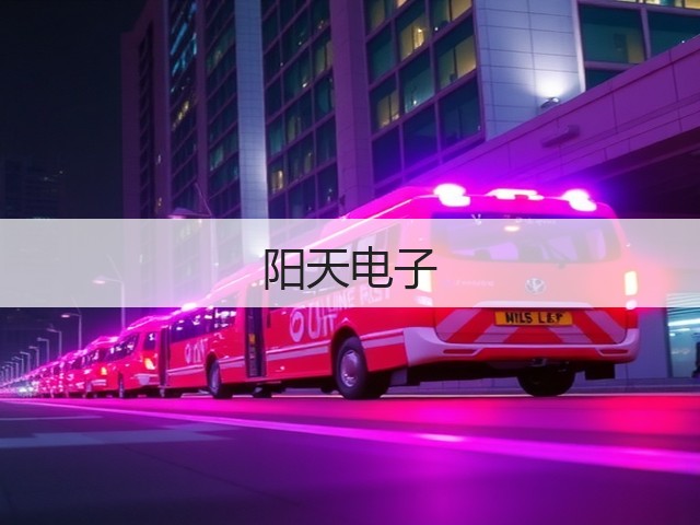 阳天电子(图3)