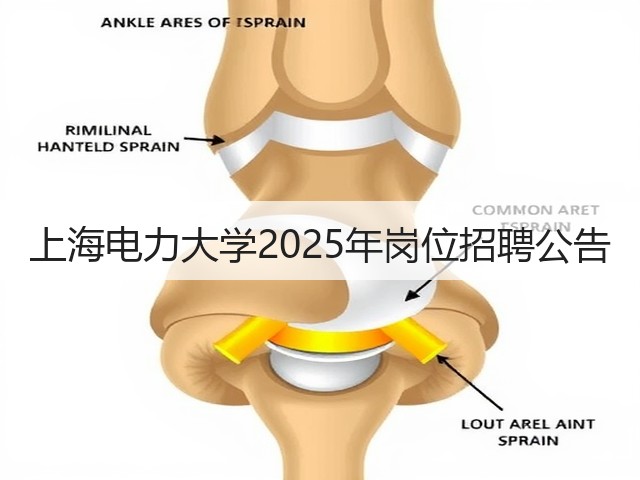 上海电力大学2025年岗位招聘公告(图3)