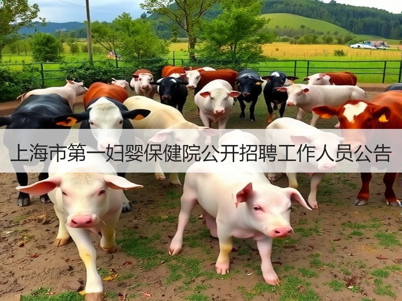 上海市第一妇婴保健院公开招聘工作人员公告