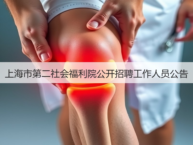 上海市第二社会福利院公开招聘工作人员公告