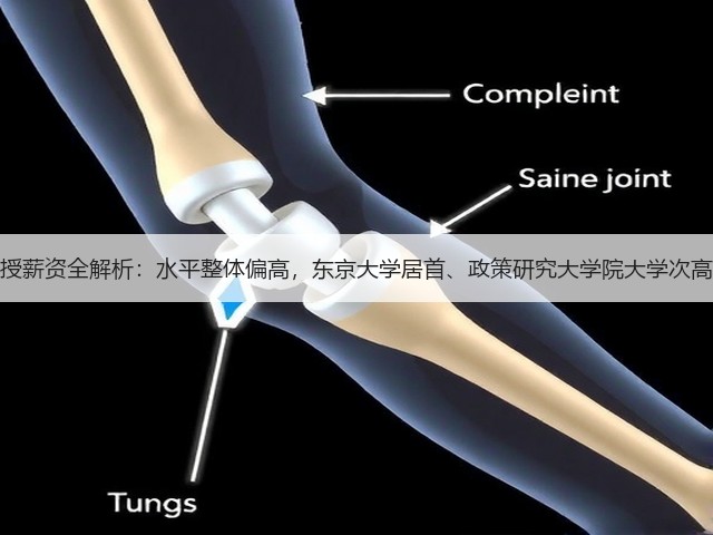 日本国立大学教授薪资全解析：水平整体偏高，东京大学居首、政策研究大学院大学次高，福利待遇丰厚(图3)