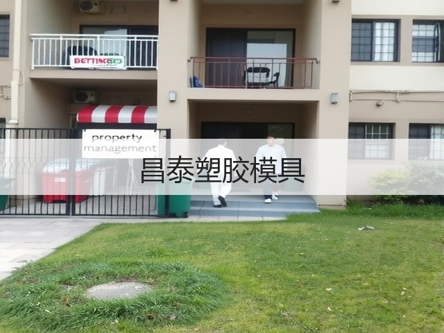 昌泰塑胶模具(图3)
