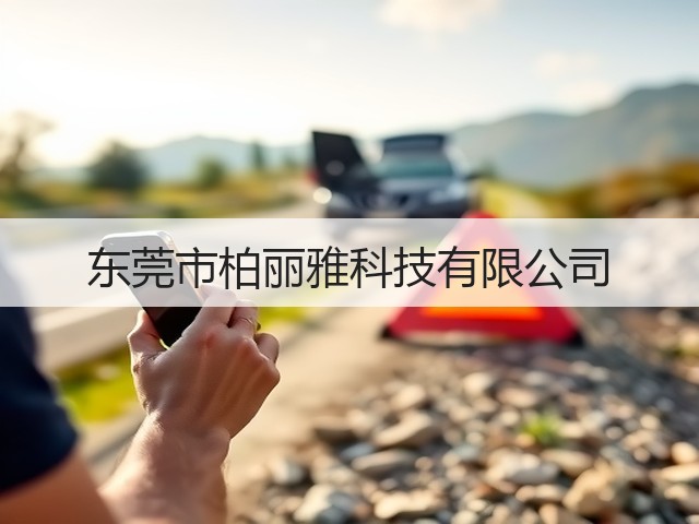 东莞市柏丽雅科技有限公司(图1)