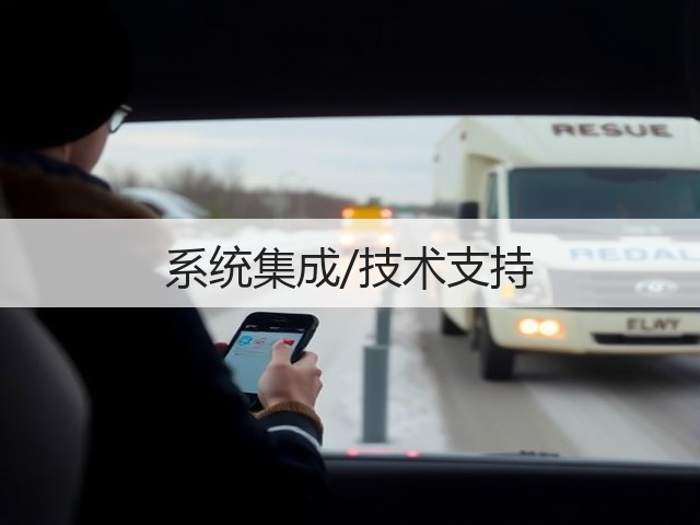 系统集成/技术支持(图1) 系统集成/技术支持(图1)