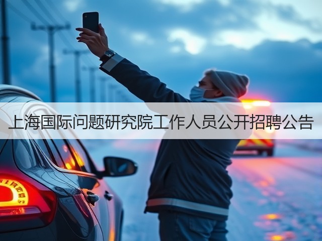 上海国际问题研究院工作人员公开招聘公告(图3)