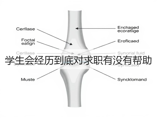 学生会经历到底对求职有没有帮助(图2) 学生会经历到底对求职有没有帮助(图2)