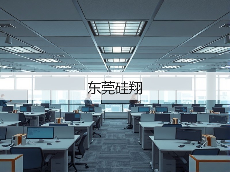 东莞硅翔