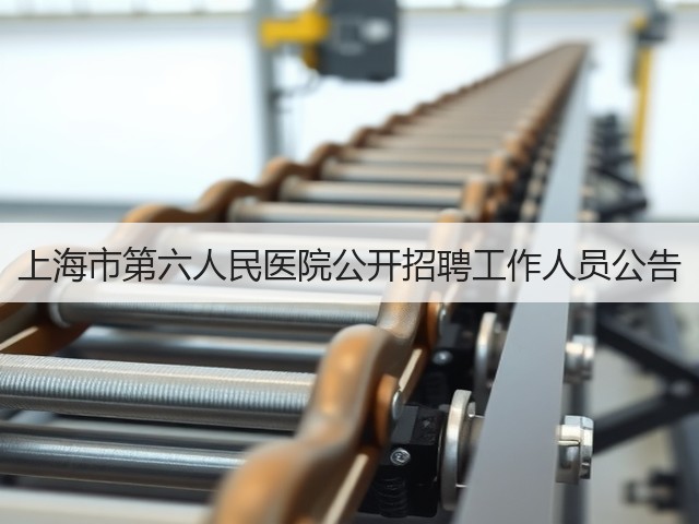上海市第六人民医院公开招聘工作人员公告(图3) 上海市第六人民医院公开招聘工作人员公告(图3)