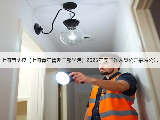 上海市团校（上海青年管理干部学院）2025年度工作人员公开招聘公告(图3)