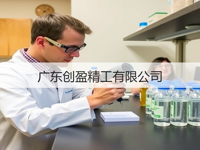 广东创盈精工有限公司(图1)
